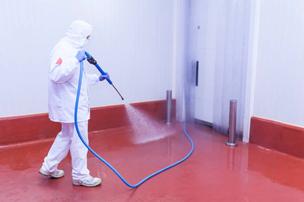 Best Boat and Dock Cleaning  in Jersey City, NJ
