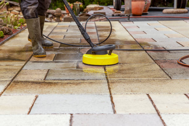 Animal Enclosure Cleaning in Jersey City, NJ